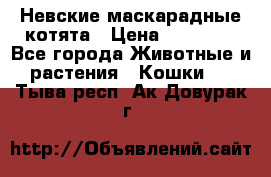 Невские маскарадные котята › Цена ­ 15 000 - Все города Животные и растения » Кошки   . Тыва респ.,Ак-Довурак г.